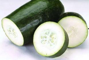 吃云南普洱的瓜,探寻云南茶香瓜韵之旅