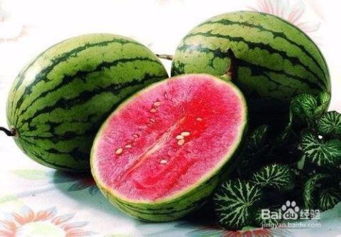 吃云南普洱的瓜,探寻云南茶香瓜韵之旅