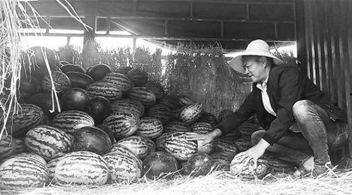 尼泊尔吃瓜群众,吃瓜群众的欢乐时光