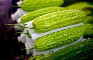 孕妇可以吃胶瓜吗,胶瓜的适宜食用与注意事项