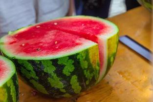 怎样能在樱校吃瓜,揭秘校园里的那些“秘密”趣事