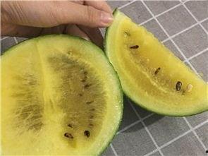 博兴吃瓜视频,揭秘网络热点背后的真相与笑料