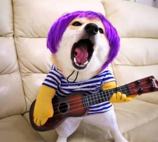 吃瓜土猹,网络热词背后的文化现象