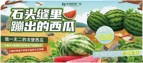 五一吃瓜网吃瓜热门大瓜,五一假期热门大瓜盘点，揭秘娱乐圈幕后真相