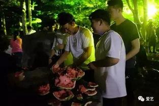 青州学院吃瓜事件,校园风波背后的真相揭秘