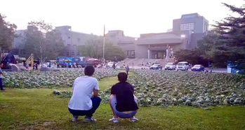 青州学院吃瓜事件,校园风波背后的真相揭秘