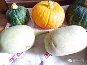 吃瓜需要几个粉丝,揭秘吃瓜群众如何轻松积累百万粉丝