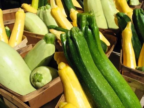 带你吃瓜去广东,带你领略广东美食之旅