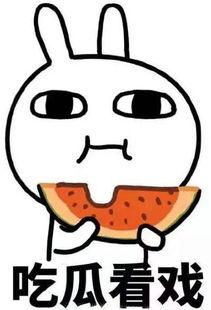 带你吃瓜小程序,畅享趣味生活新体验