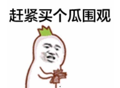 吃瓜群众小风视频大全,揭秘热门视频背后的故事