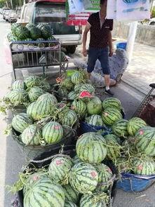 固安吃瓜事件,一场网络舆论的风暴与反思