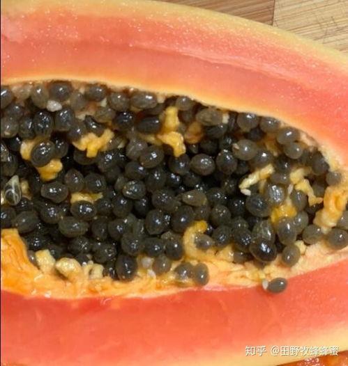 蜂吃瓜怎样治,神奇植物疗法揭秘