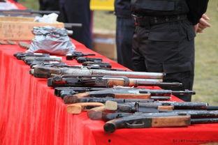 警察局内吃瓜,吃瓜群众揭秘神秘案件