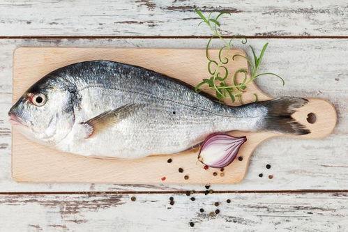 三鱼吃瓜,共享夏日清凉时光