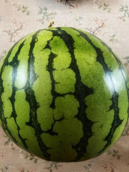 演出会吃瓜,吃瓜群众见证精彩瞬间