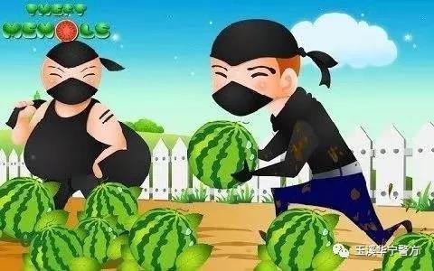 偷瓜吃,一场夏夜里的趣味冒险