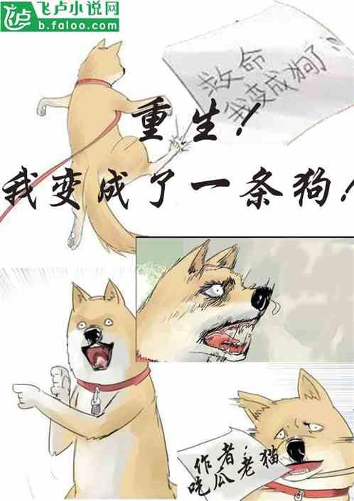 吃瓜的猫 小说,揭秘娱乐圈背后的秘密