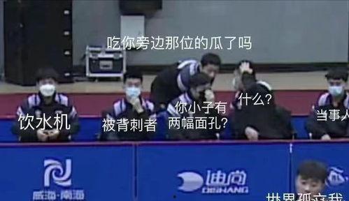 小站成员集体吃瓜