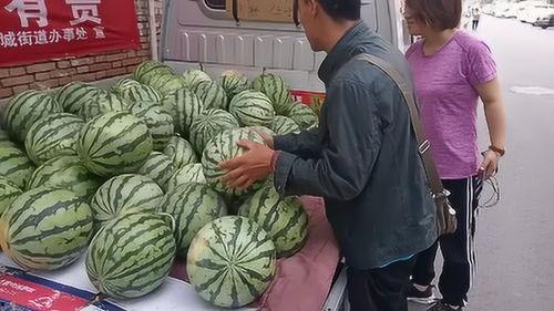 山西运城吃瓜,瓜果飘香，尽享清凉美食之旅