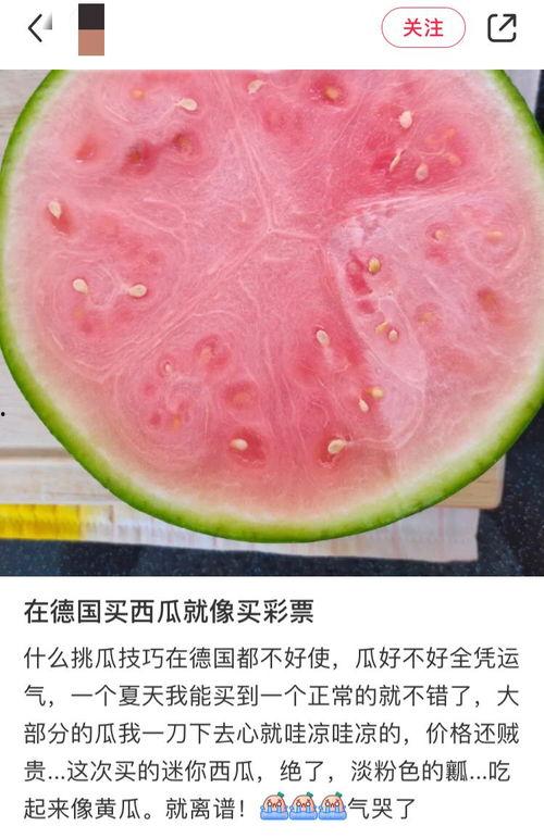 怎么吃国外瓜,揭秘各国“吃瓜”文化